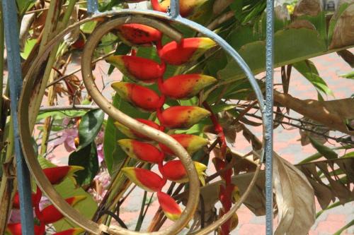 IronShore Estates Apartment | Sweetsop Jamaica Villa and Tour