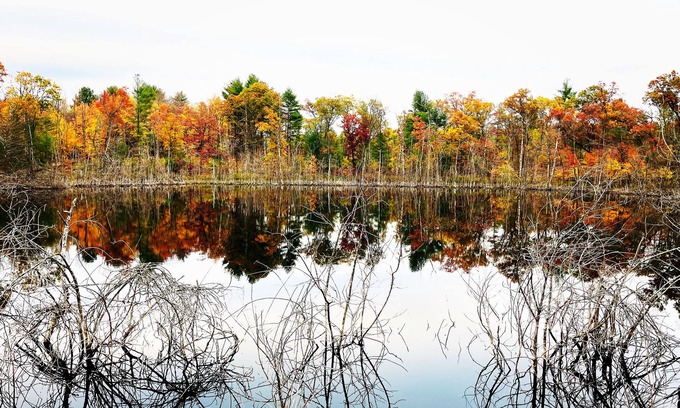 Plainfield Cabin | Swimming,boat,kayak,fish,BBQ,ATV,hike,Huge Deck,pets,Nordic MT- ski,tube,private