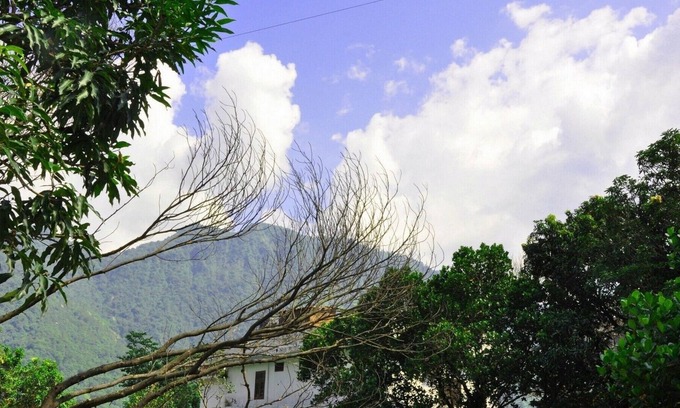 Tapovan Cottage | Swiss Cottage in Tapovan