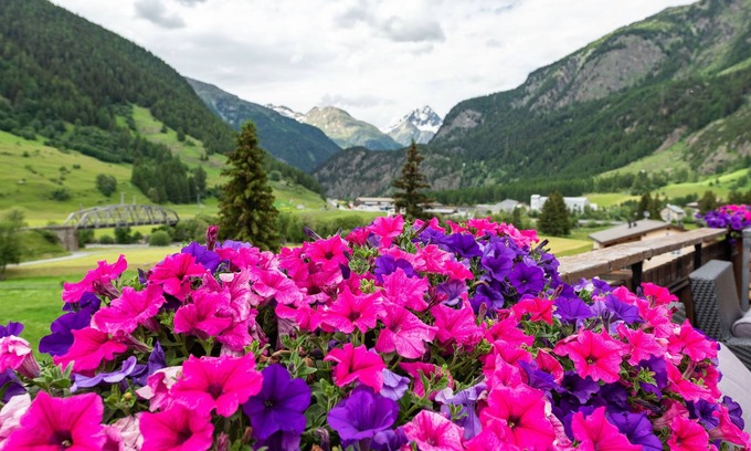 Zernez Hotel | Swiss Lodge Zernez