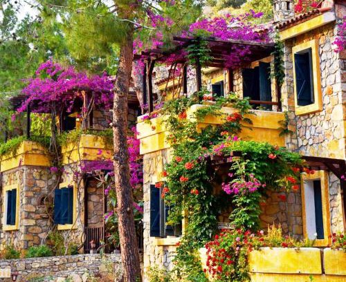 Oludeniz City Center Hotel | Symbola Oludeniz Beach Hotel