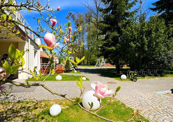 Brzezinka Hotel | Szafirowy Dwór Hotel & Restauracja