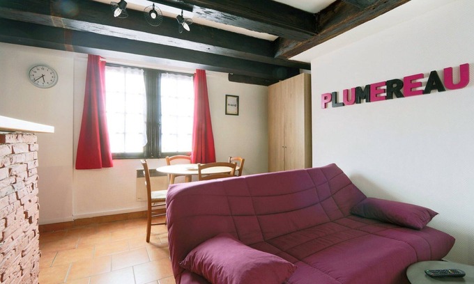 Tours City Centre Apartment | T2 view on #PlacePlumereau #Tours