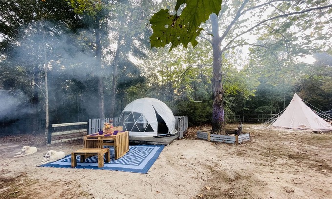 Tallahassee Villa | Tally Glamping Farmstay GIMPY’S GEODOME with mini horses, goats, cows, chickens
