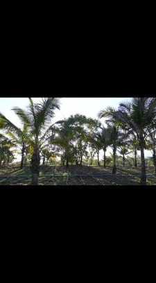 Mahiravani Cabin | Talyachi Wadi - Agro-tourism center & Cultural Center