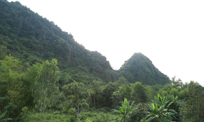 Son Trach House | Tam's Homestay