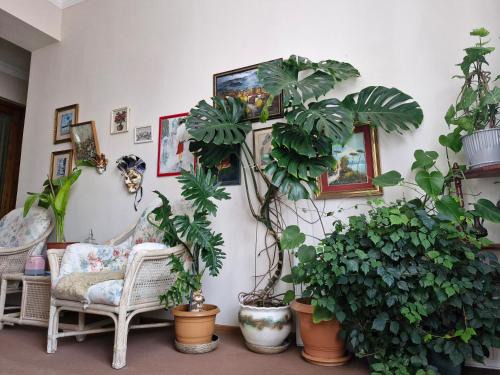 Telavi House | Tamari Guest House
