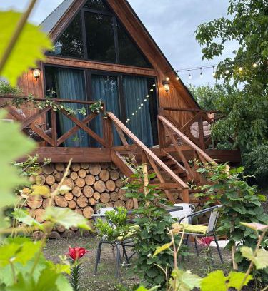 Tsalka Ski Chalet | Tasia's Cottage