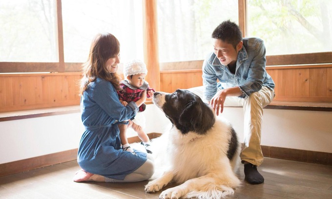 Tateshina Cottage | Tateshina Wanwan Paradise Cottage