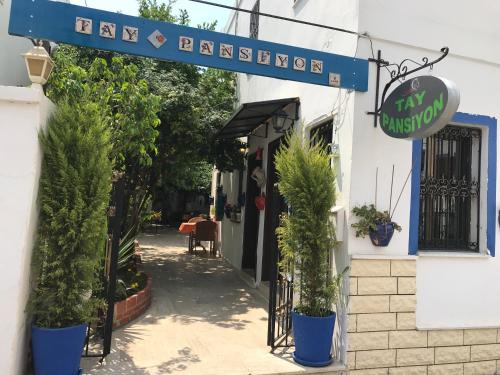 Bodrum City Center Bed & Breakfast | Tay Pansiyon
