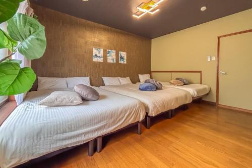 Ikuno Apartment | TC COMFORT Teradacho