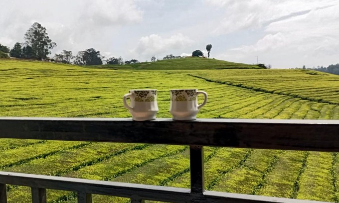 West Mere House | Tea Estate view stay