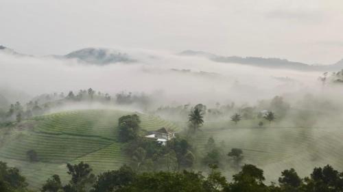Elappara Villa | Tea Harmony Bunglow