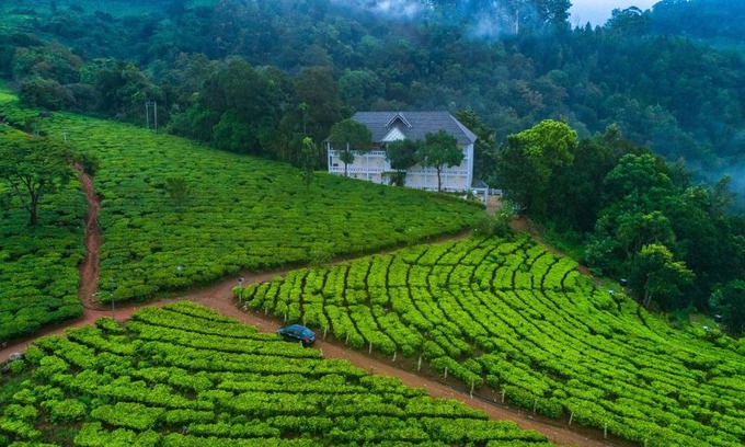 Chithirapuram Resort | Tea Harvester