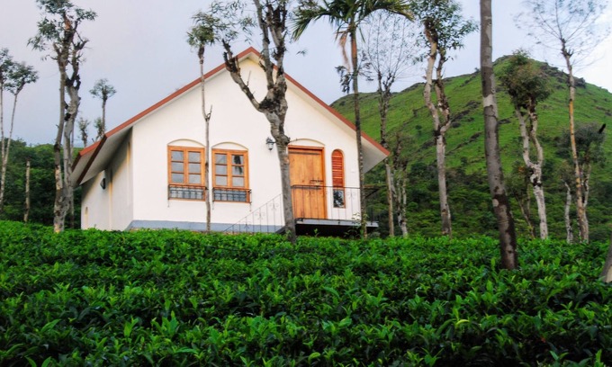 Vayittiri Resort | Tea Terrace Vythiri Resort