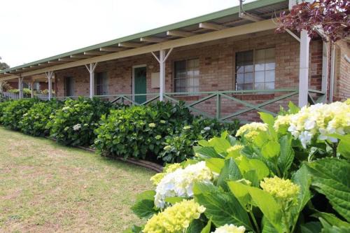 Augusta House | Tea Tree Cottage - close to the ocean and the river