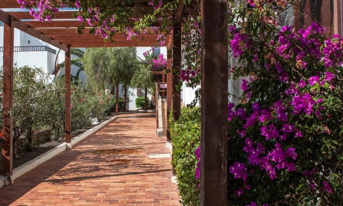 Costa Teguise Apartment | Teguisol 258, Apt. with terrace, near the beach