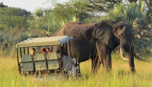 Kosi Bay Other | Tembe Elephant Park Lodge