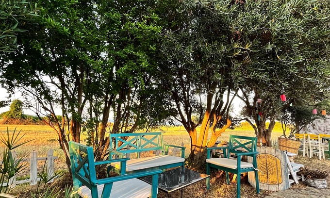 Bozcaada Hotel | Tenedos Tatil Odaları
