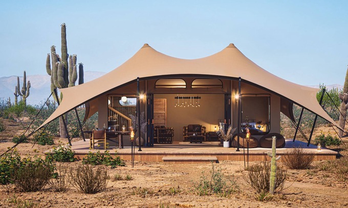 Marana House | Tent Ocotillos
