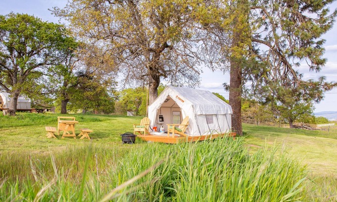 Central Point RV Rental | Tentrr Signature Site - Pines Place at Lane Creek Reserve
