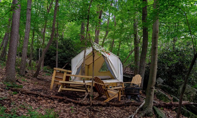 Berkeley Springs RV Rental | Tentrr State Park Site - WV Cacapon State Park - Site F (2.3 miles past Cacapon