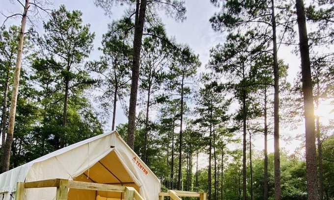 Talisheek RV Rental | Tentrr State Park Site - Louisiana Bogue Chitto State Park - Gorge Trail O - Sin