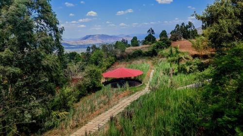 Medha Hotel | Terra on a hill