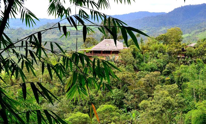 Mindo Cabin | Terrabambu Lodge
