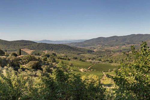 Panzano in Chianti Apartment | Terrazza a Campana
