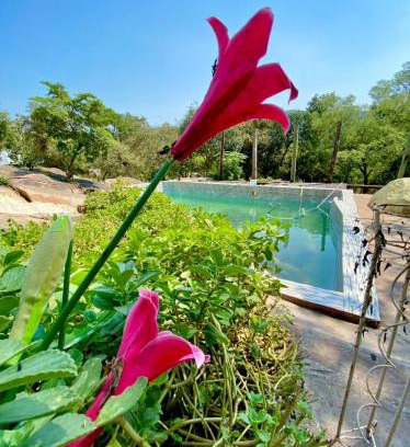 Manzini District Resort | Tfutjana Mount Resort and Restaurant