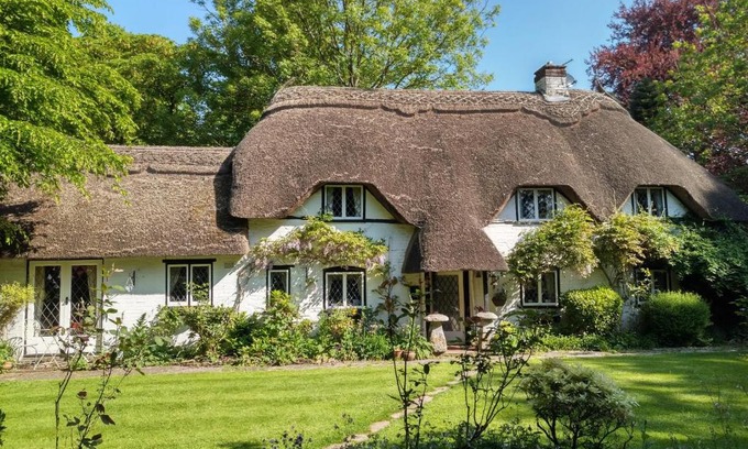 New Forest District Bed & Breakfast | Thatched Eaves