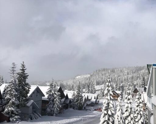 Courtenay Ski Chalet | The Akasha