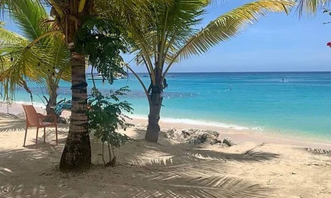 Folkestone Apartment | The Art Studio 12 Beachfront Apartment Barbados