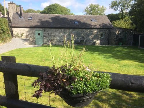 Llanddeiniol House | The Bakery