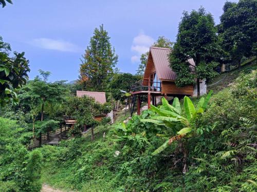 Lan Saka Hotel | The BED Forest Camp Lansaka ฟอเรสแค้มป์ ลานสกา