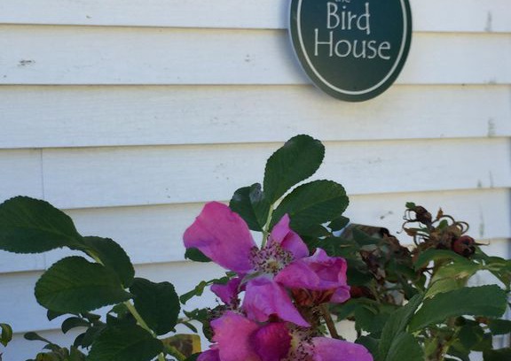 Loveitts Field Cabin | The Birdhouse at Willard Beach ~ a Maine cottage at the beach