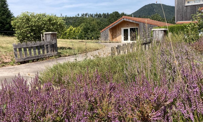 Saulcy-sur-Meurthe Ski Chalet | The Chalet in Nature