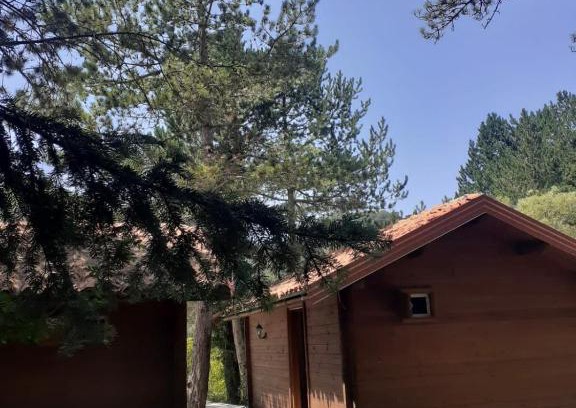 Llogara National Park Ski Chalet | The Chalet, Iliria Llogora
