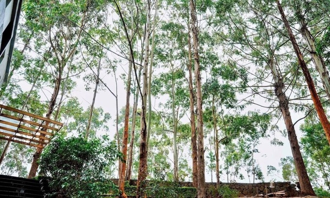Lushoto House | The Cliff Luxury Mountain Escape