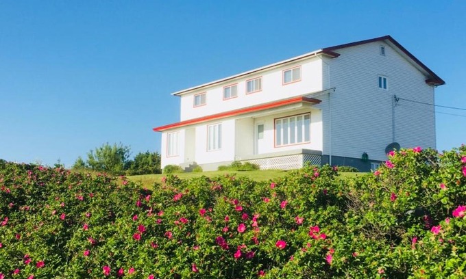 Trepassey House | The Convent Guesthouse