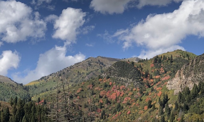 Salt Lake Mountain Resorts Cabin | The Cottage at Brighton