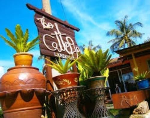 Lubok Buaya Hostel | THE COTTAGE LANGKAWI