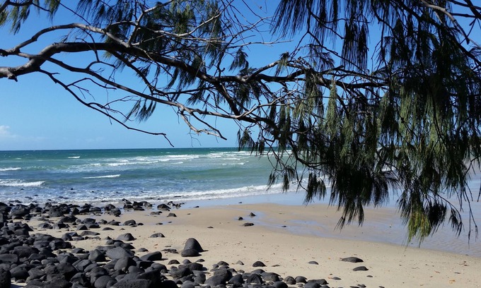 Coral Cove Apartment | The Cove Oceanfront Retreat, Upstairs Apartment - Pet friendly