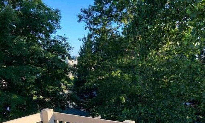 Rivermont Apartment | The Crows Nest | Historic 2nd floor Apt | Pets