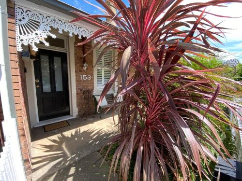 Orange House | The Edward Townhouse 153 - Tastefully Styled