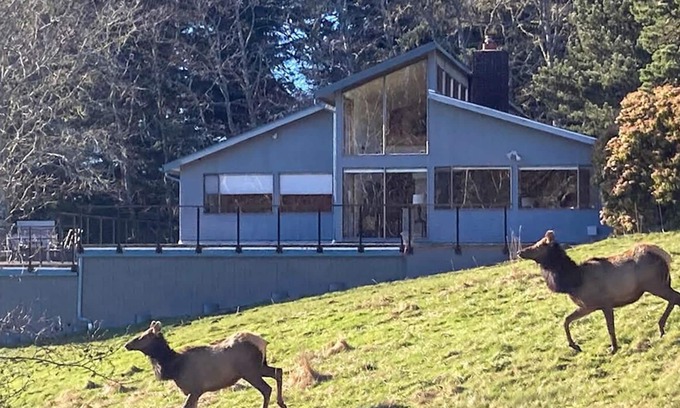 Otis House | The Elk Coast House - Secluded Beach Access - Wrap Around Deck - Spa - HotTub