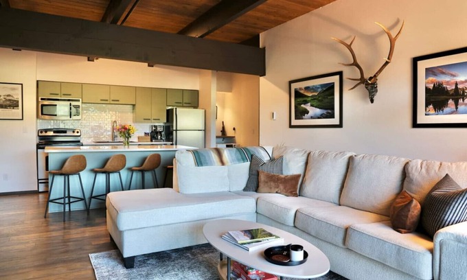 Crested Butte Apartment | The Elk Mountain Escape