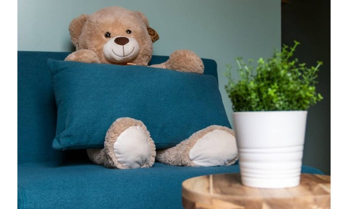 Saint-Jean-de-Vedas Apartment | ★The Emoticause★ Zen and Cozy Apartment in Montpellier