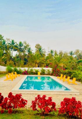Agara Other | The Fairy Tale Farms